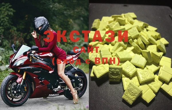 прущие грибы Усолье-Сибирское