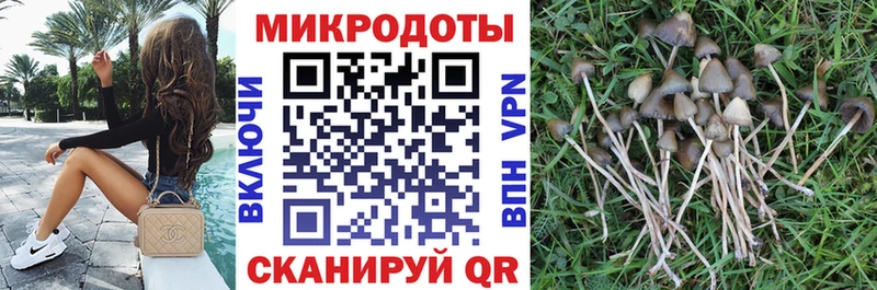Псилоцибиновые грибы мухоморы  даркнет сайт  Белоярский 